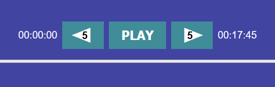 Audio Player Controls